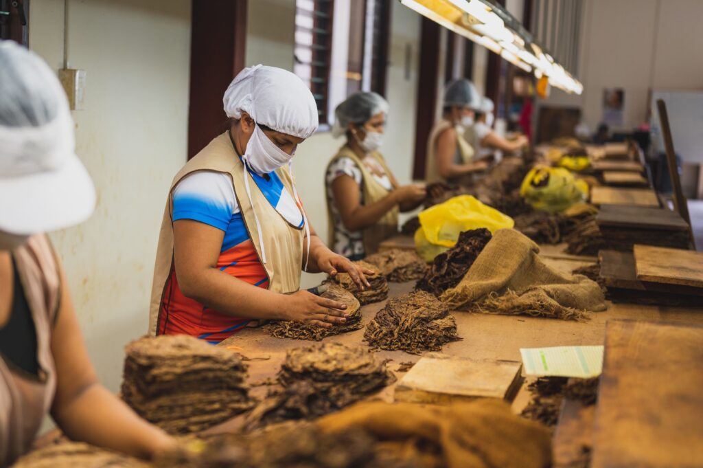 fabrica de tabaco Cómo afecta el vapeo al cerebro